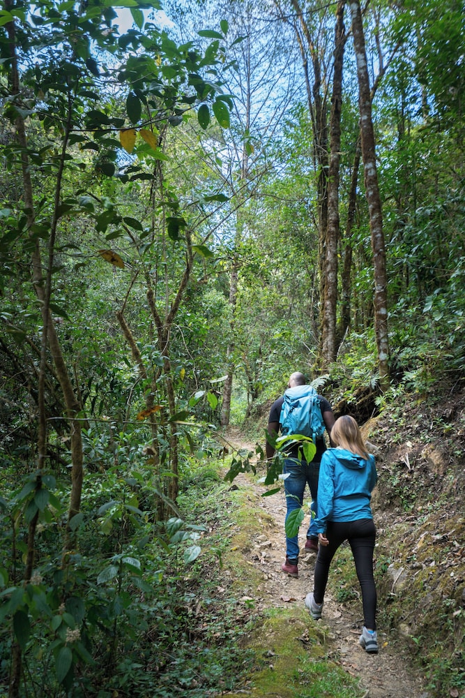 Trogon Lodge 34/46