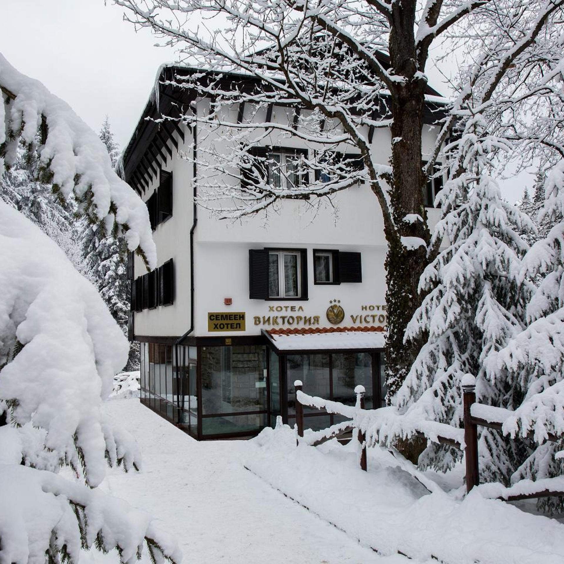 Victoria Borovets 4/59