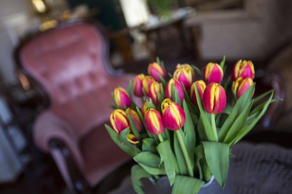 Amsterdam Wiechmann Hotel 写真4