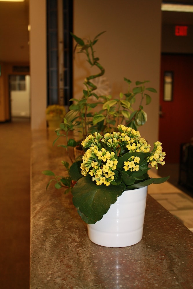 University of Alberta - Guest Accommodation 15/45