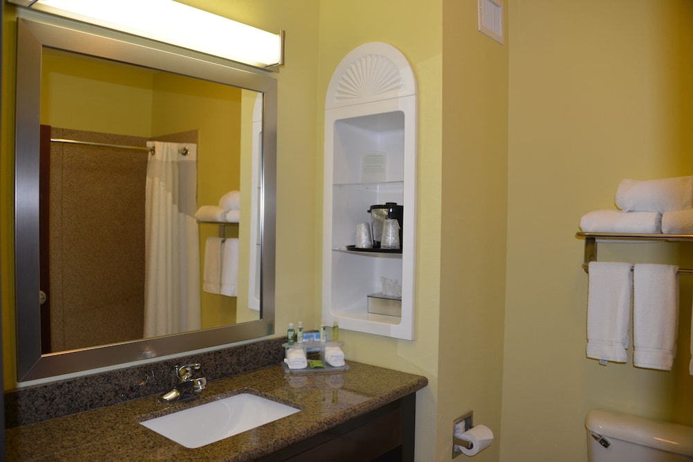 Holiday Inn Express Hotel Suites Dumas 70/72