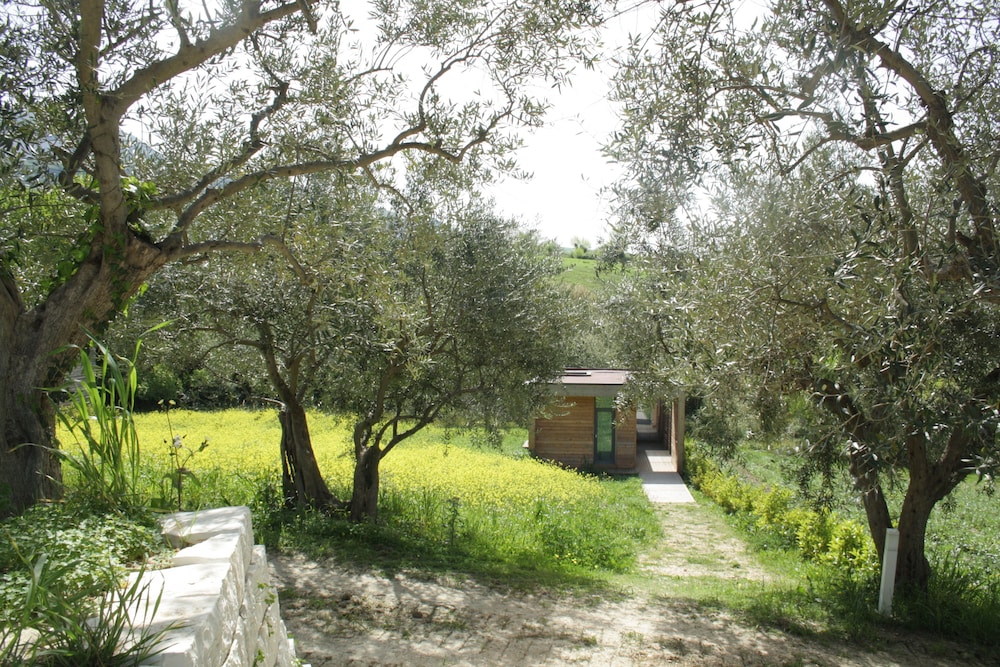 surroundings