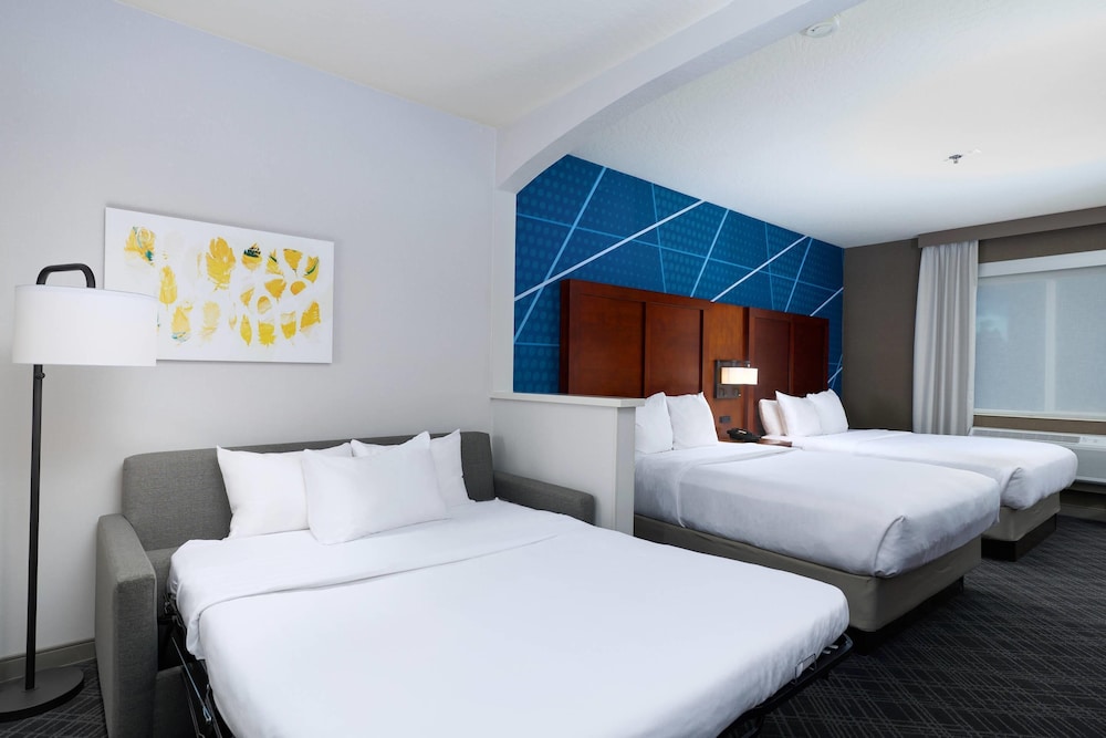 Studio, Suite, 1 Single and 2 Queen Beds