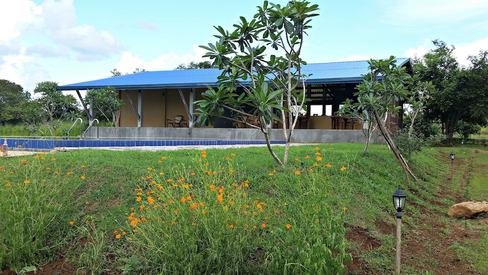 Rho Sigiriya 41/47