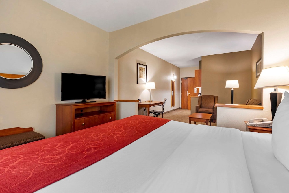 Comfort Suites North Dallas 9/31