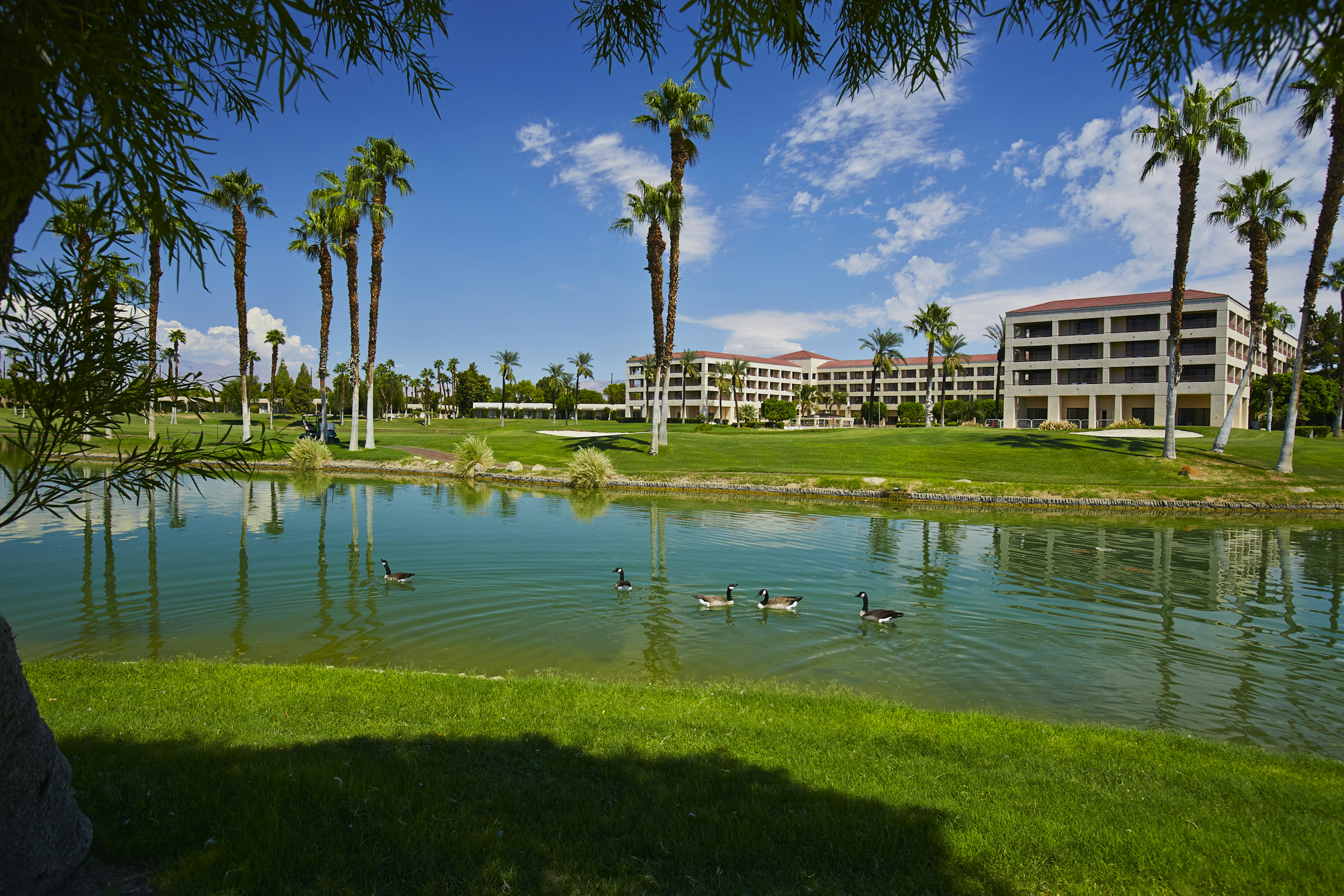 Doubletree By Hilton Golf Resort Palm Springs 77/81