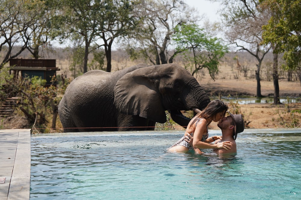 Honeyguide Tented Safari Camps 49/50