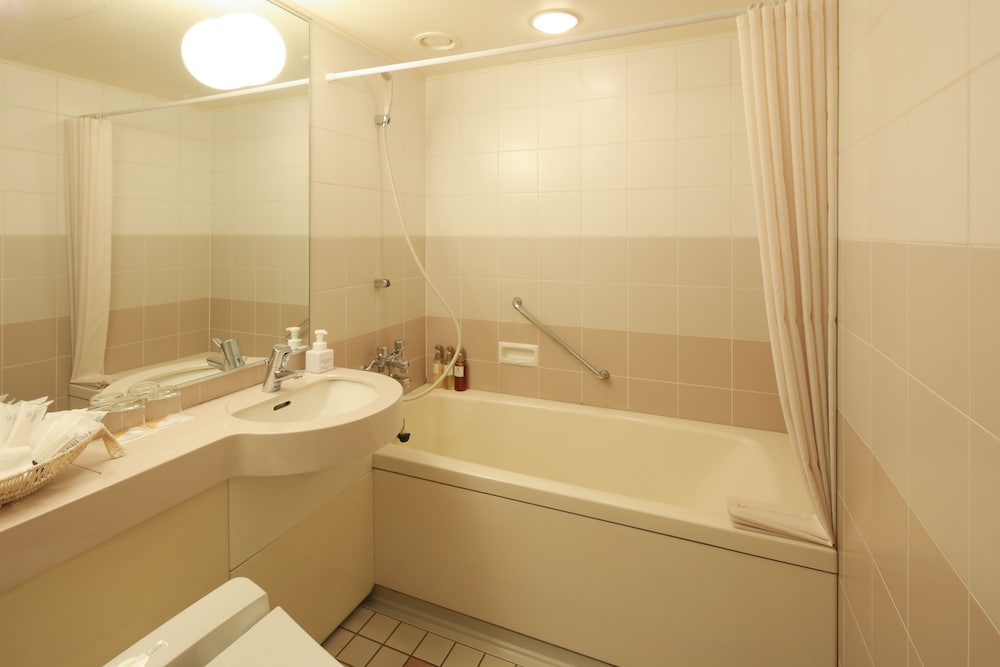 Tokyo Daiichi Hotel Nishiki 50/50