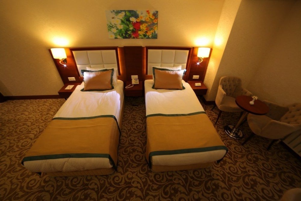 ASRIN BUSINESS HOTEL 32/73