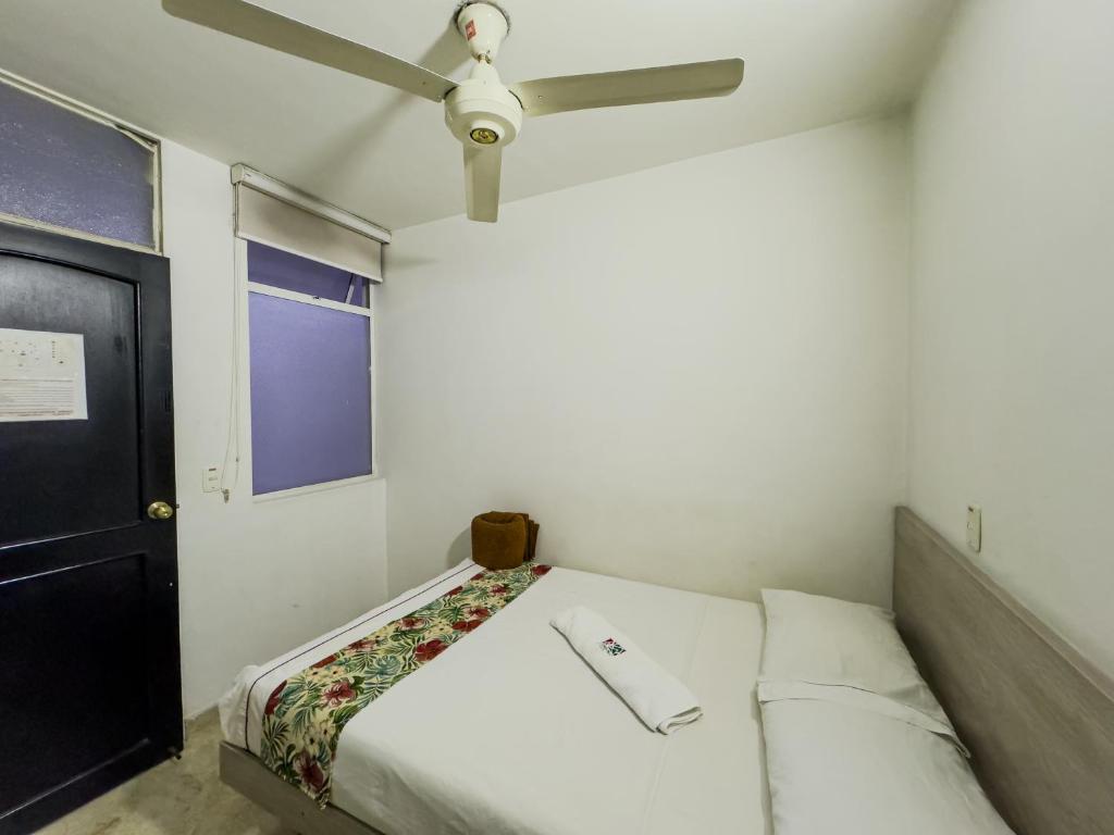 Room, Double Bed