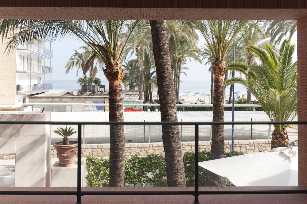 El Palmeral Hotel 14/26