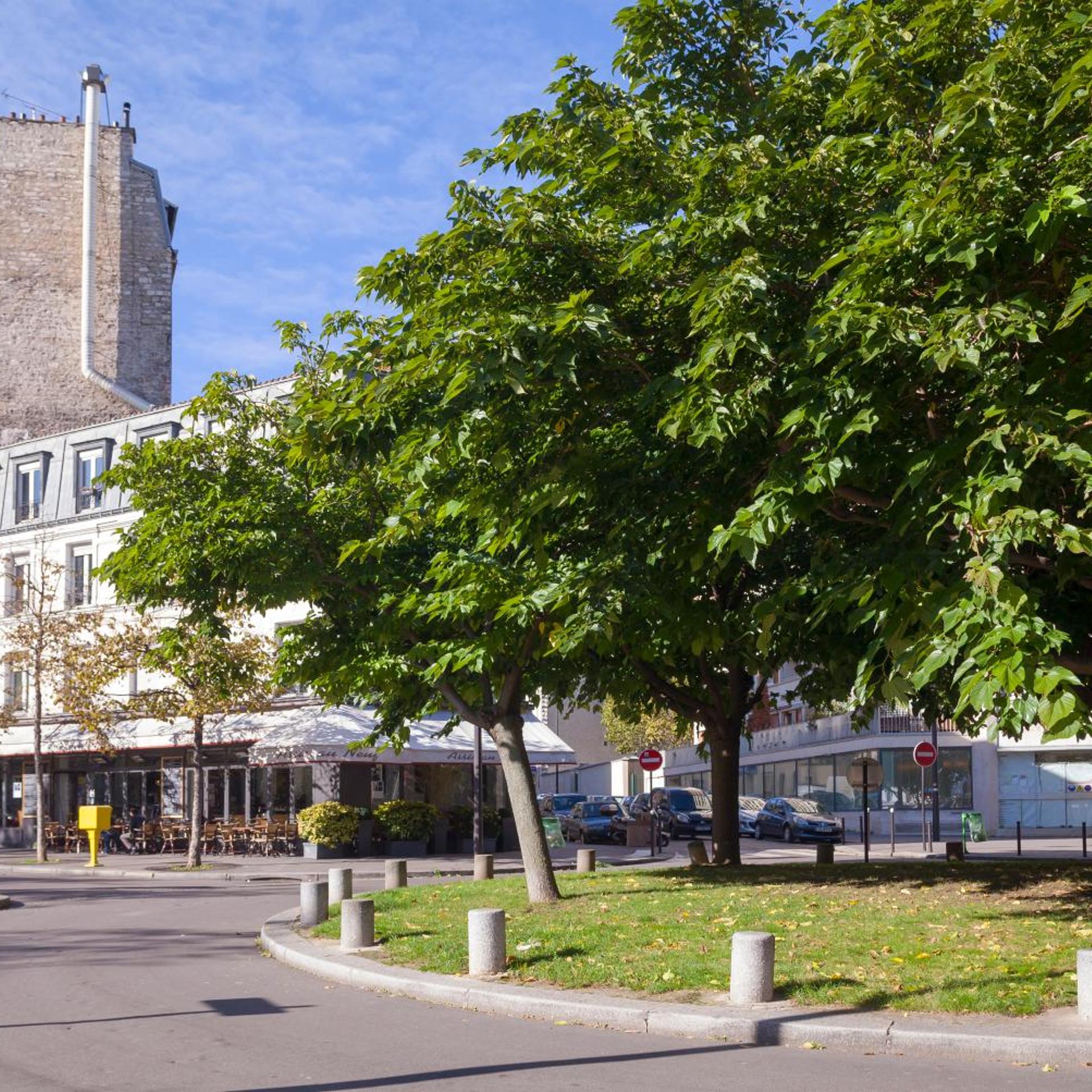 HOTEL DE LA PLACE DES ALPES 28/35