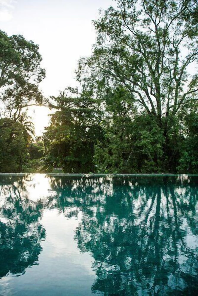 Treeline Urban Resort 44/48