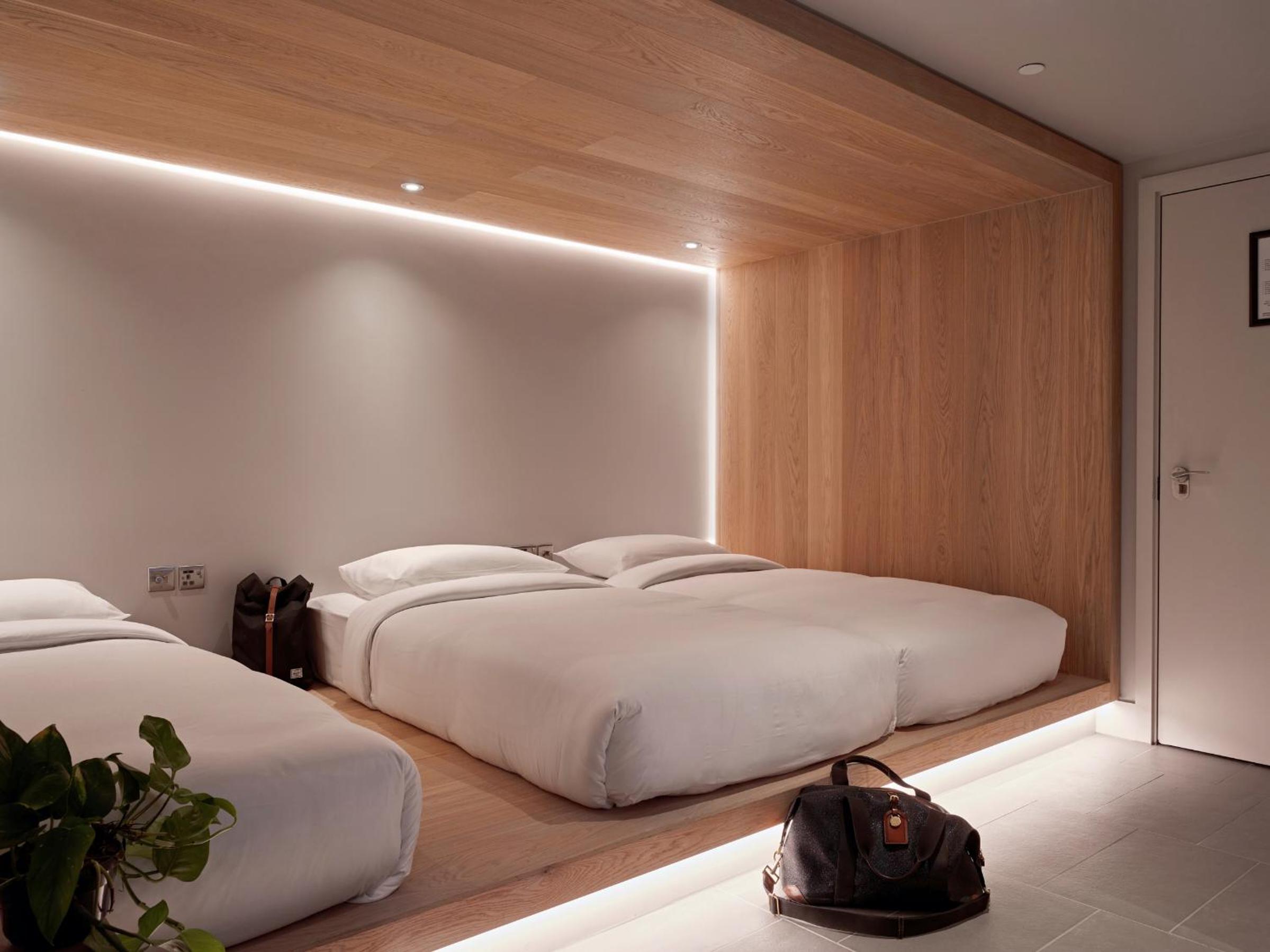 cocoon 3