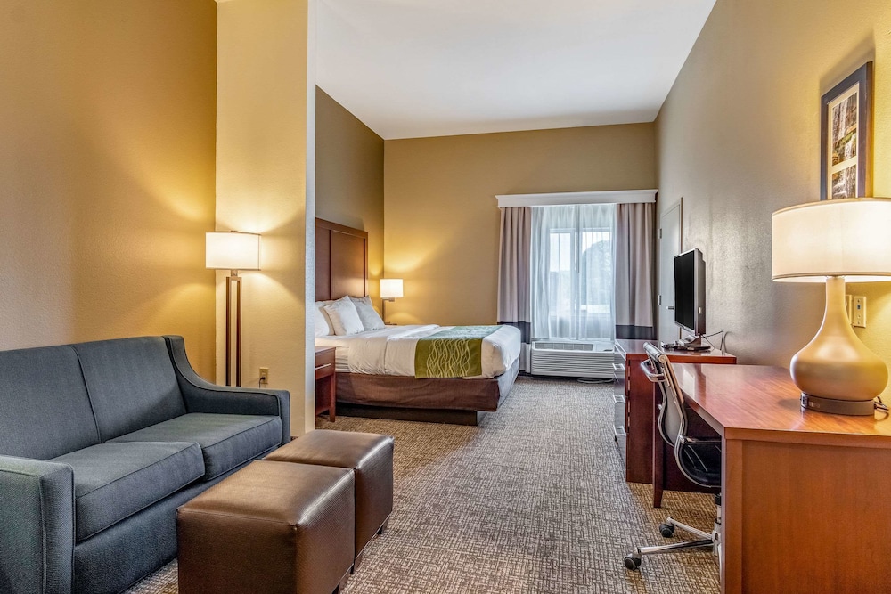 Comfort Inn Suites Tuscumbia Muscle Shoals 27/45