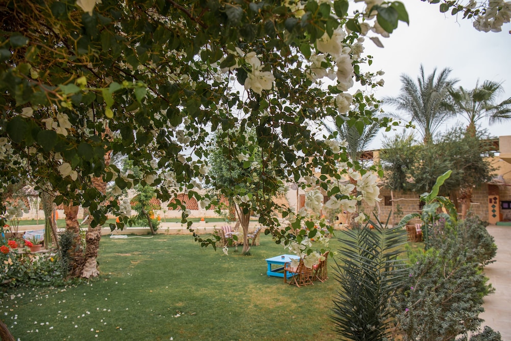 Zad El Mosafer 36/50
