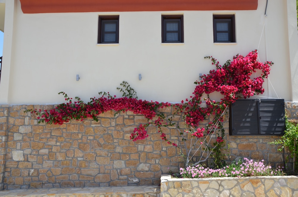 Helianthus Guesthouse 13/50