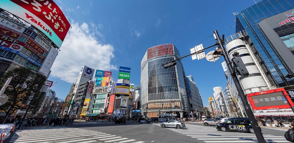 Tokyu Stay Gotanda 49/63