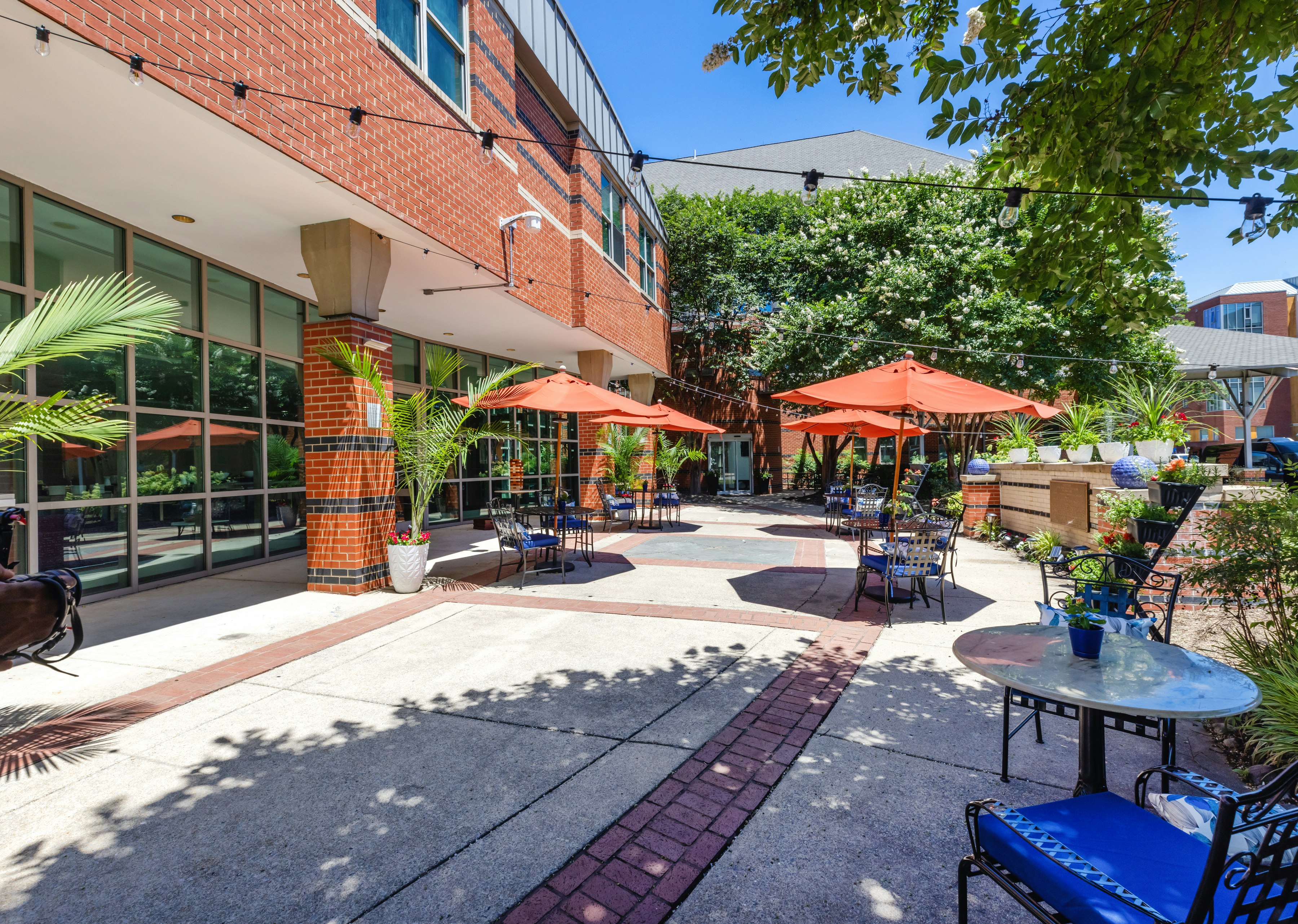 Kellogg Conference Hotel Capitol Hill at Gallaudet University 47/52