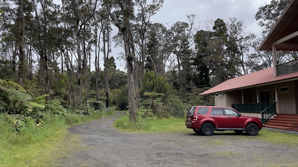 Volcano Forest Inn 38/50