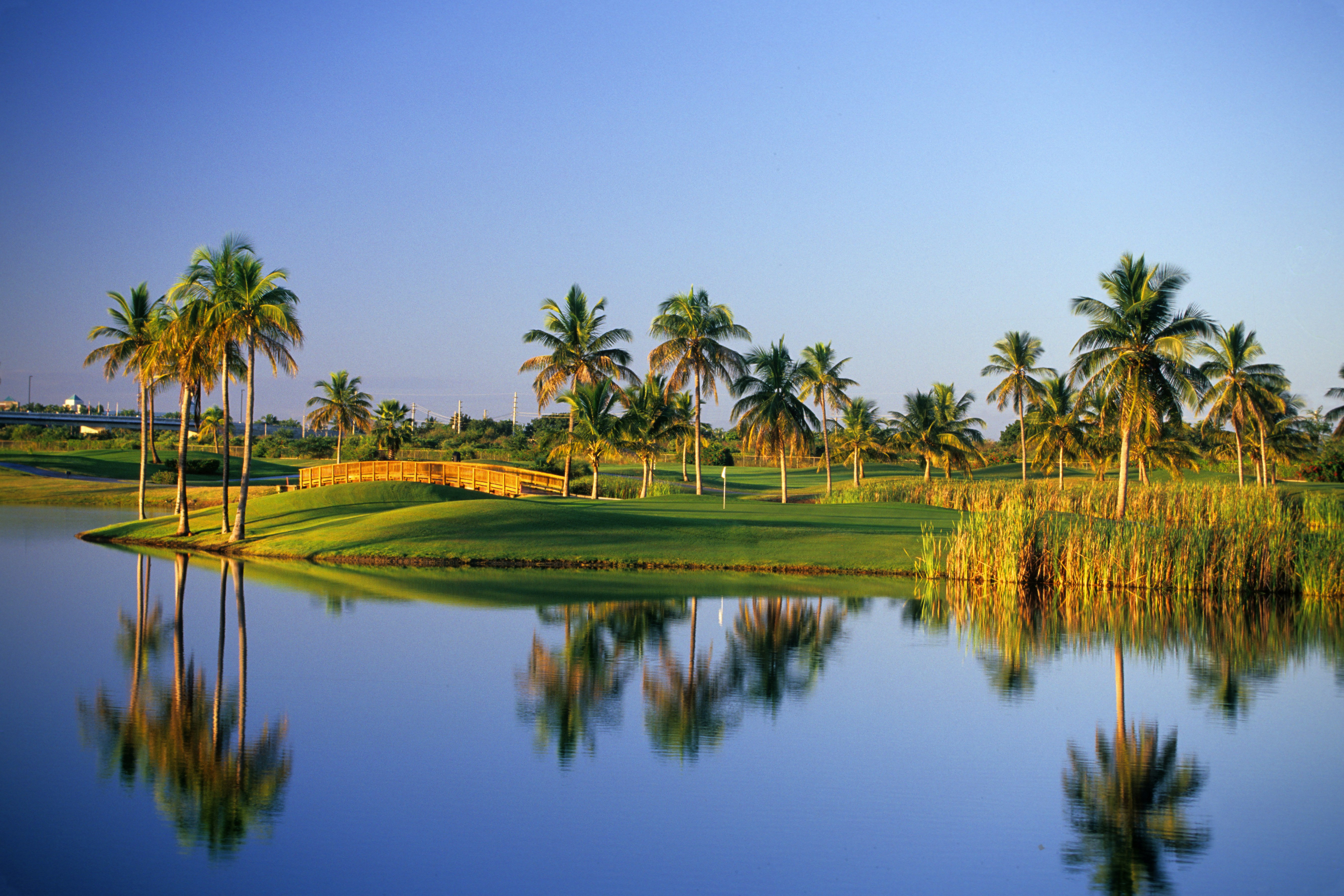 Hilton Ponce Golf & Casino Resort 42/50