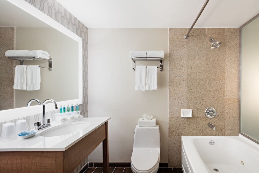 Holiday Inn Express Brooklyn 26/29