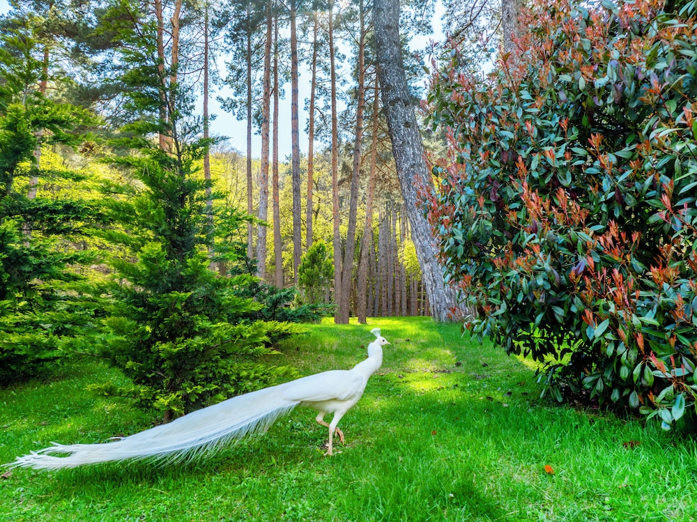 Bioli Medical Wellness Resort 48/50