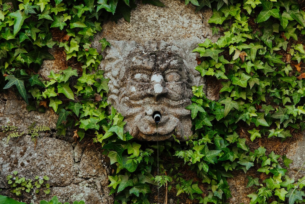 Quinta Da Bouca De Arques 32/50