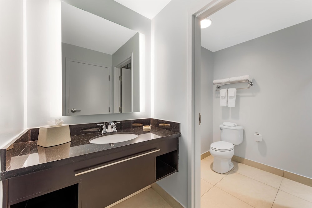 غرفة قياسية كبيرة بسرير كينج، Best Western Plus Miami Airport North Hotel & Suites 8/8