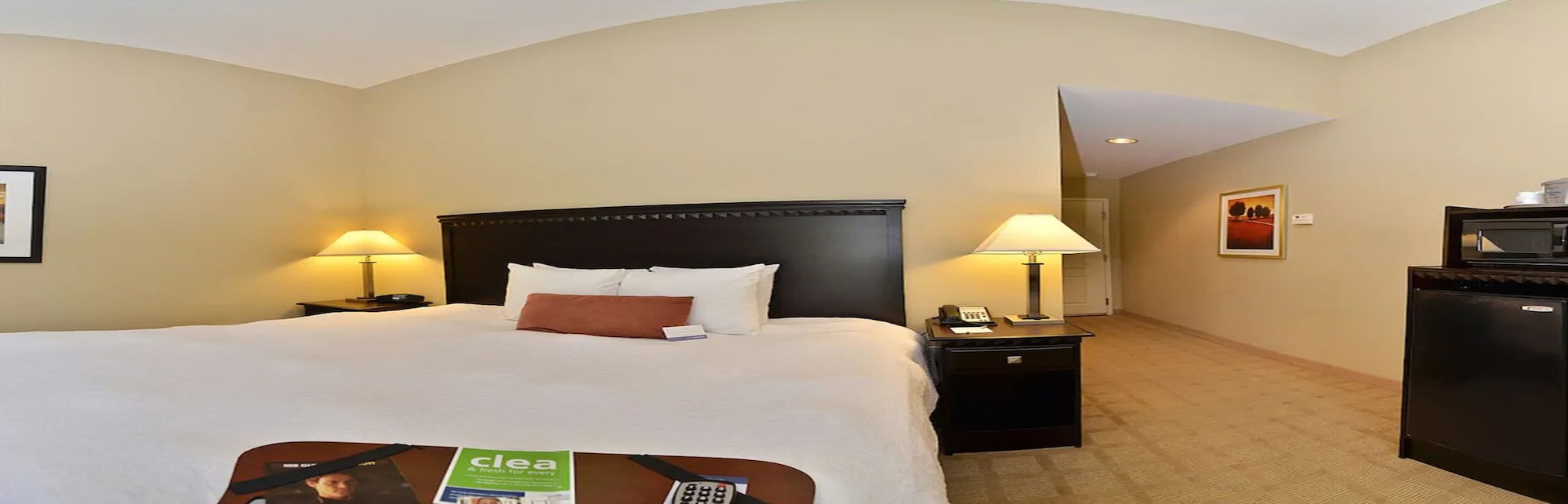 غرفة بسرير كينج لذوي الإعاقة، Hampton Inn Dade City Zephyrhills Fl 4/6