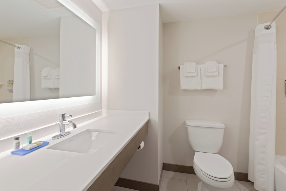 Holiday Inn Express Hotel & Suites Largo-Clearwater 37/40