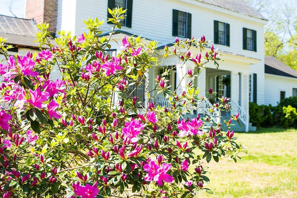 Oak Grove Bed and Breakfast 41/50
