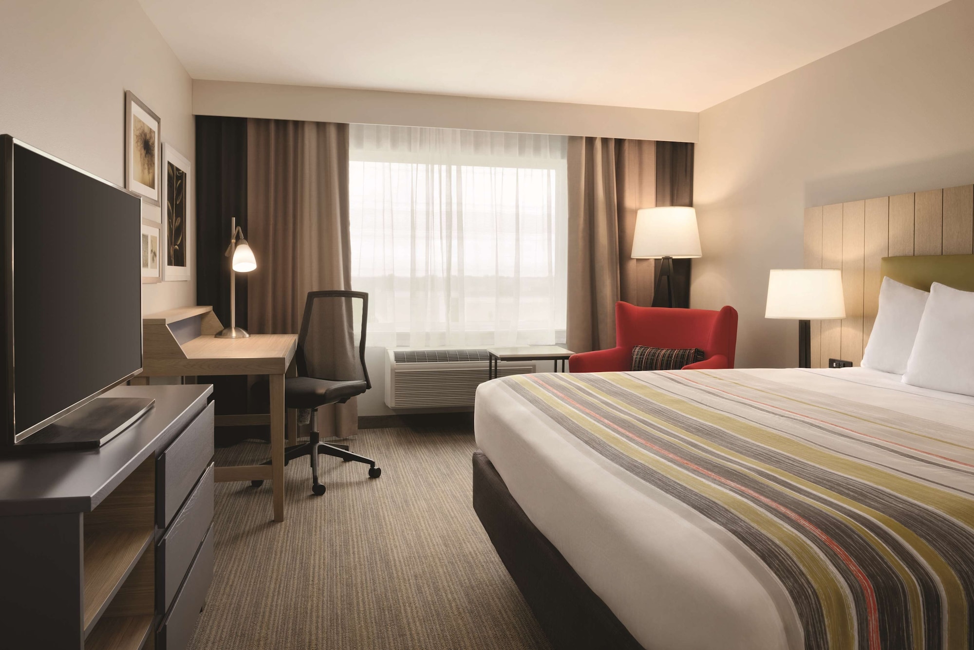 Room, King Bed