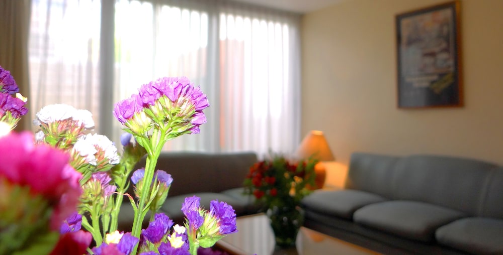 Oliva Plaza Hotel 33/50