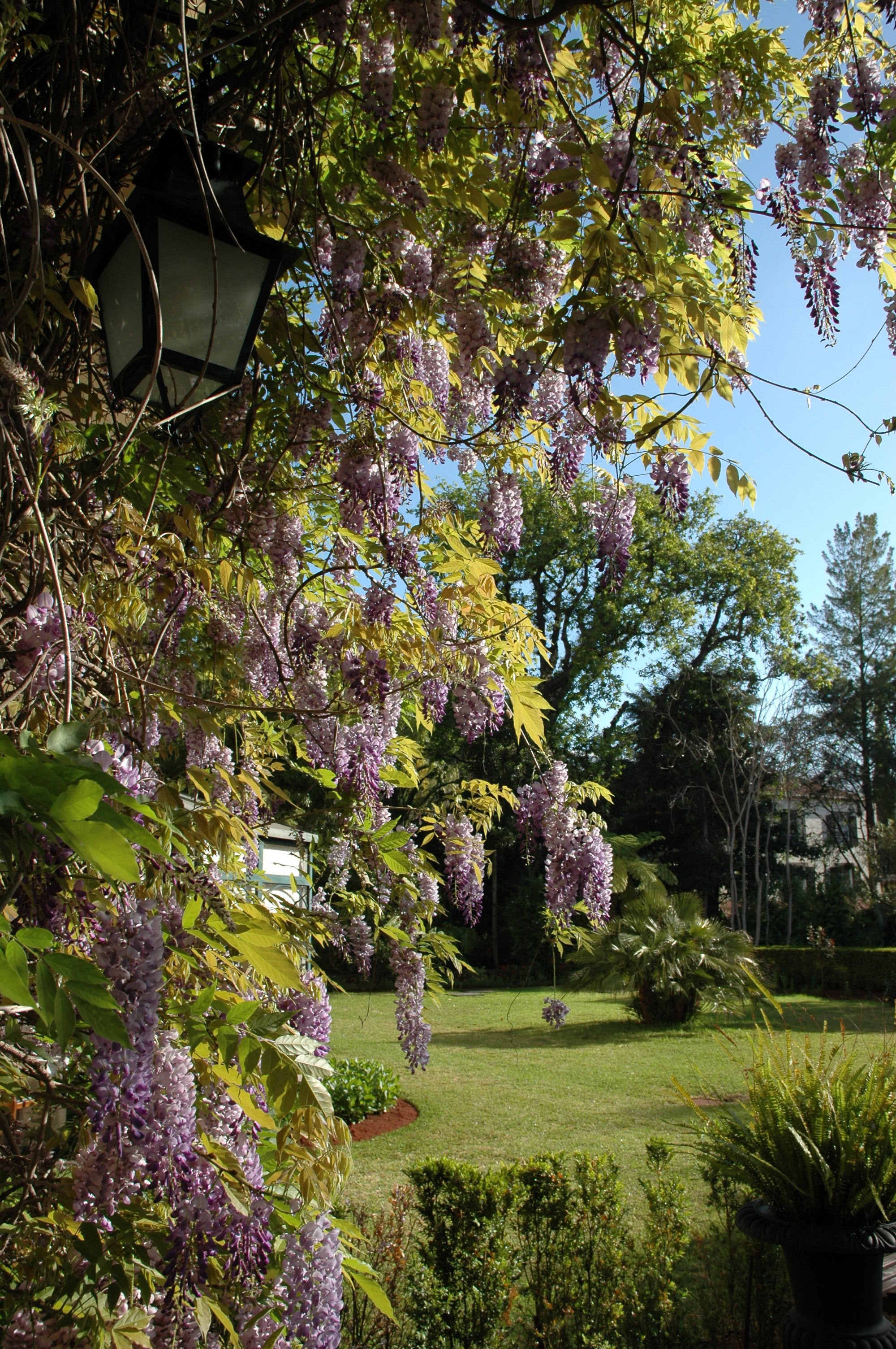 Quinta da Bela Vista 67/83