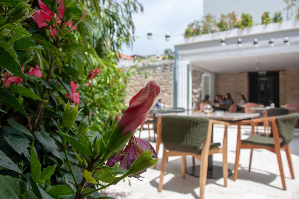 S Paul Hotel 42/50