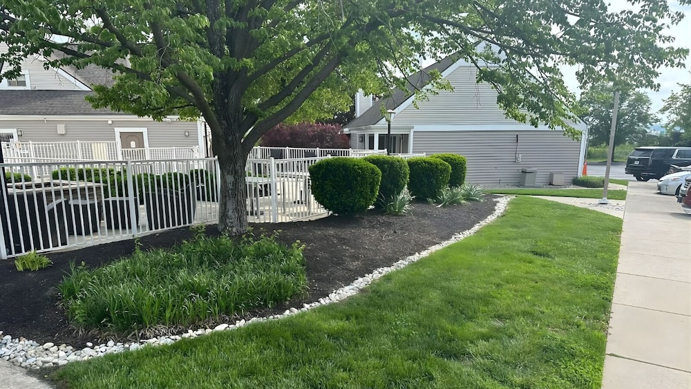 surroundings