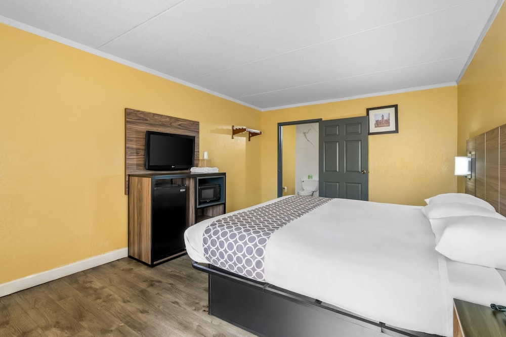 ROOM, KING BED, ACCESSIBLE