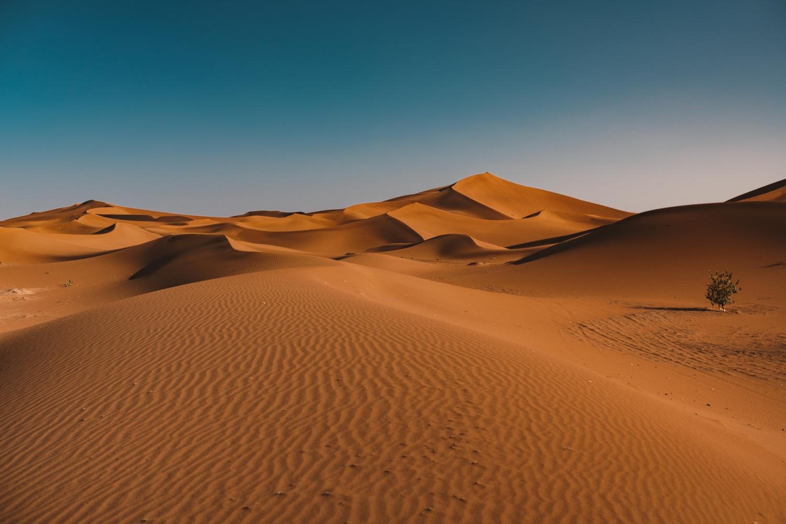 Le Chant Du Sable 26/40