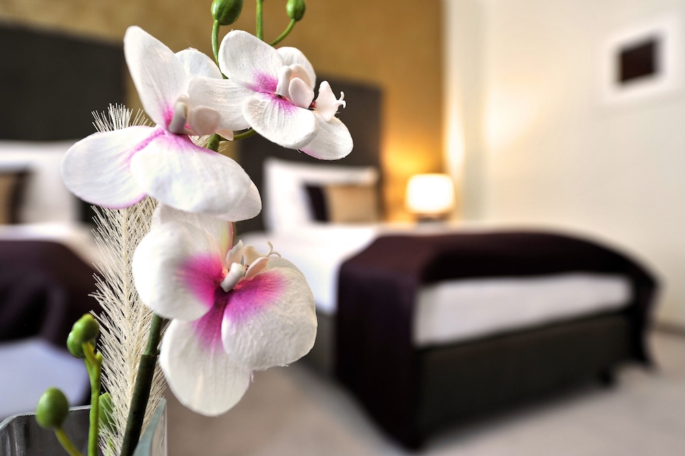 Aplend City Hotel Perugia photo5
