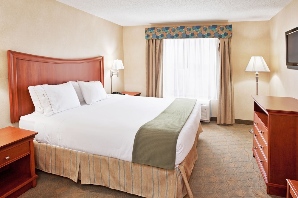Holiday Inn Express Hotel Suites Auburn Hills 12/65