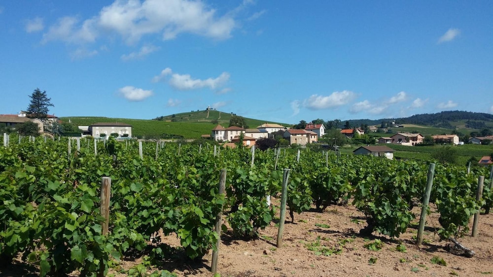 Hotel Des Grands Vins 52/62