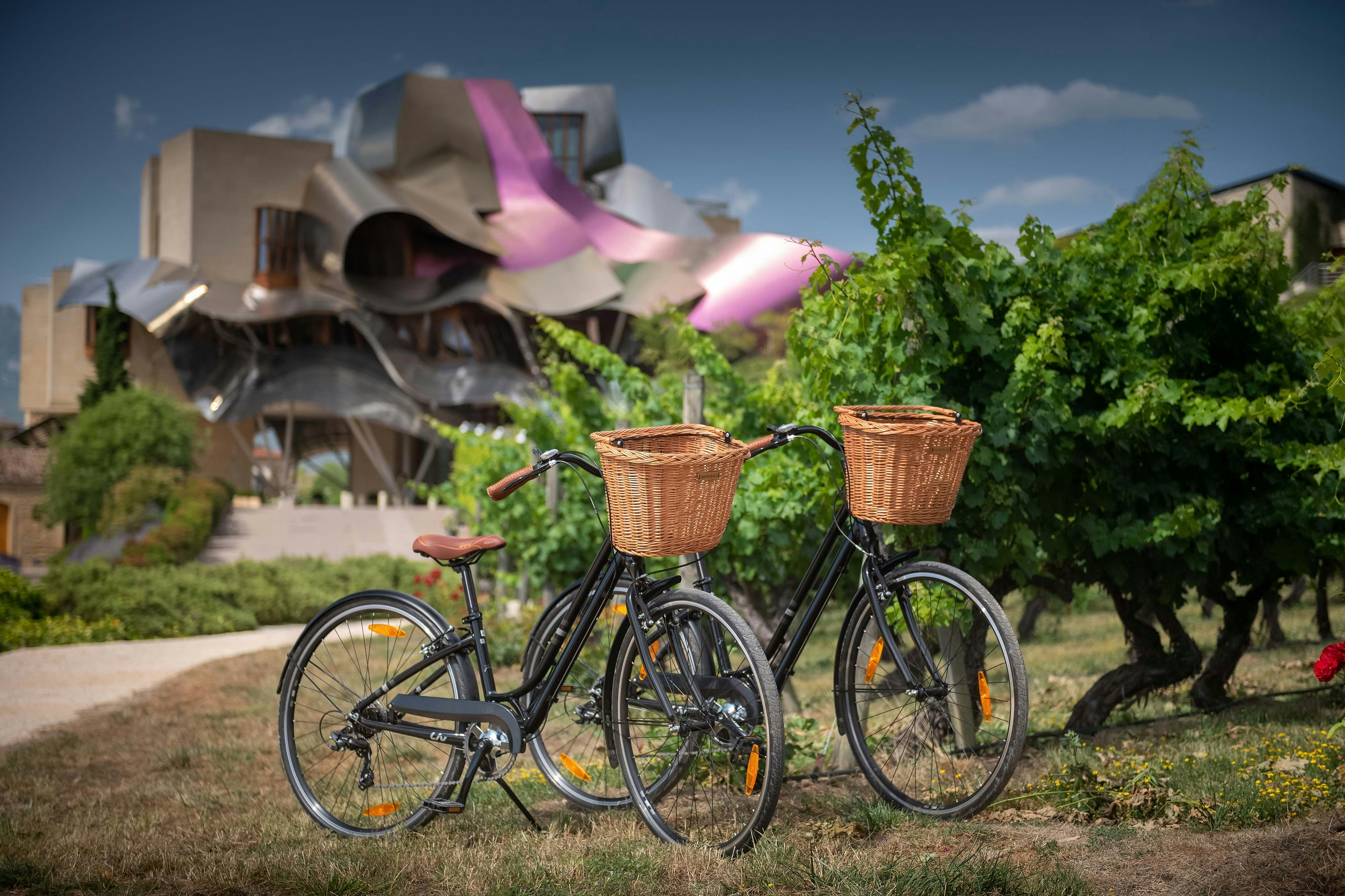 Hotel Marques de Riscal A Luxury Collection Hotel Elciego 61/68