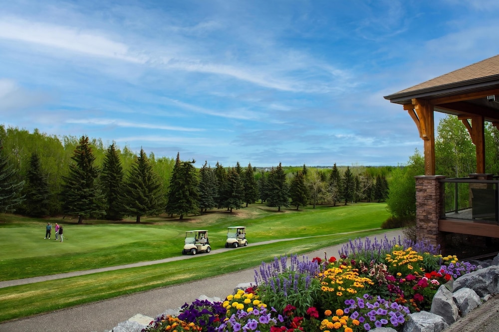 Travel Inn Suites Innisfail 42/46