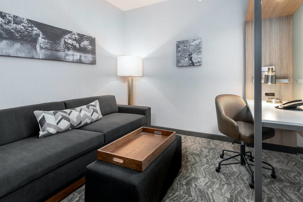 SpringHill Suites by Marriott Indianapolis Westfield 23/38