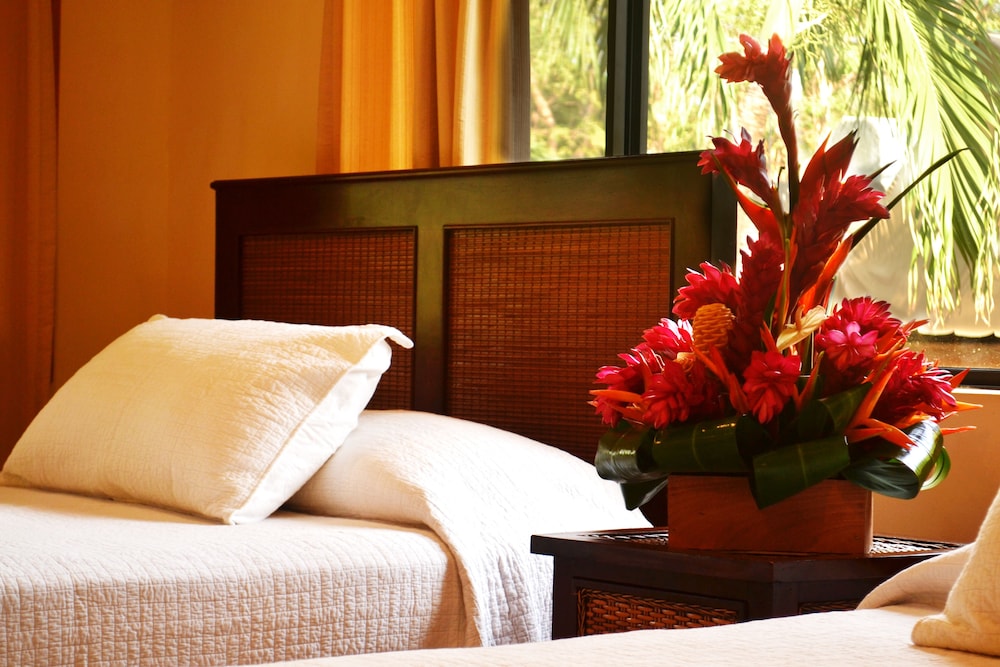 Hotel Arco Iris 38/70