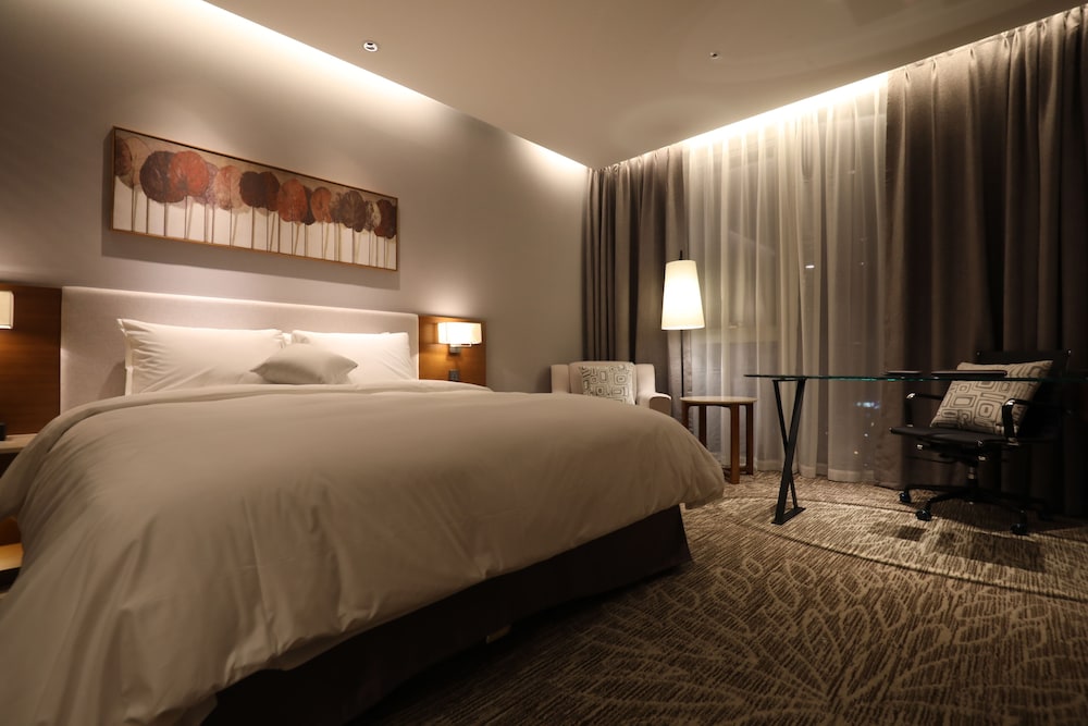 Hotel Skypark Central Seoul Pangyo 18/65