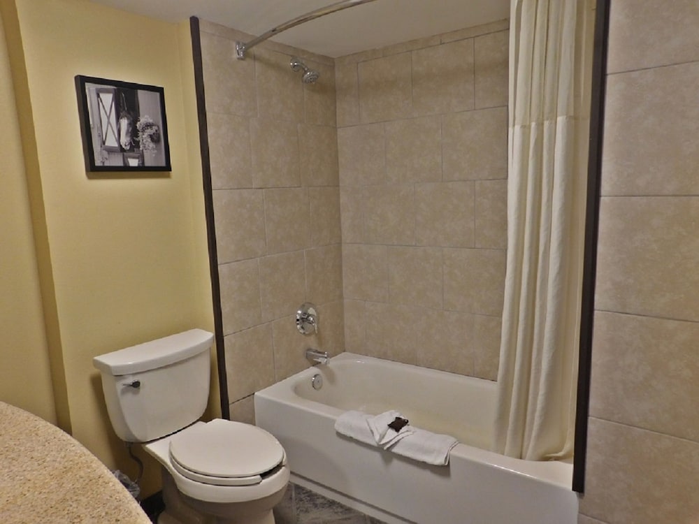 Wingate By Wyndham Bowling Green 12/49