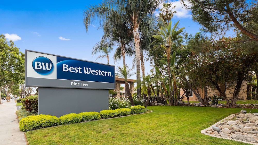 Best Western Pine Tree Motel 6/35