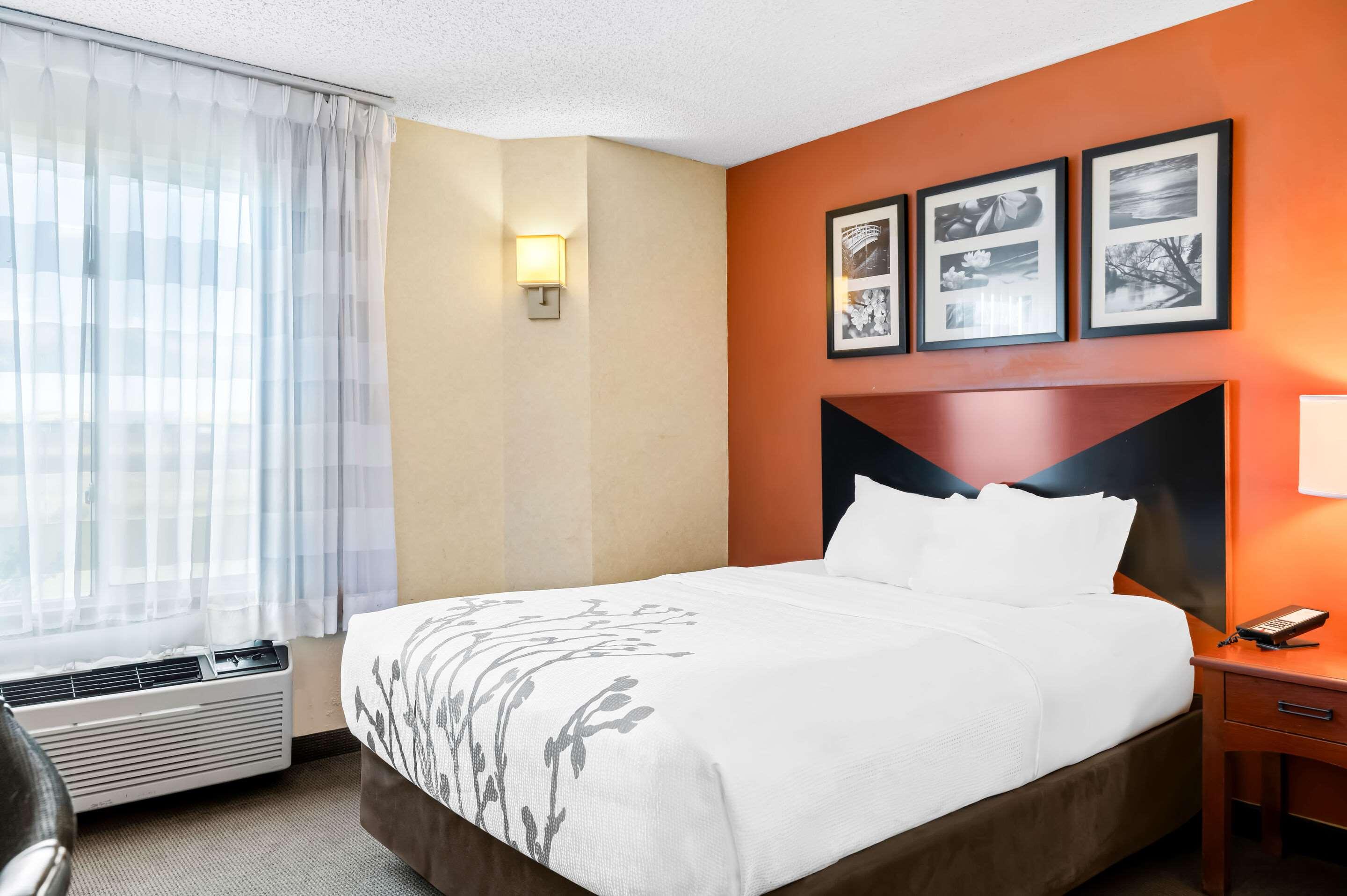 ROOM, QUEEN BED